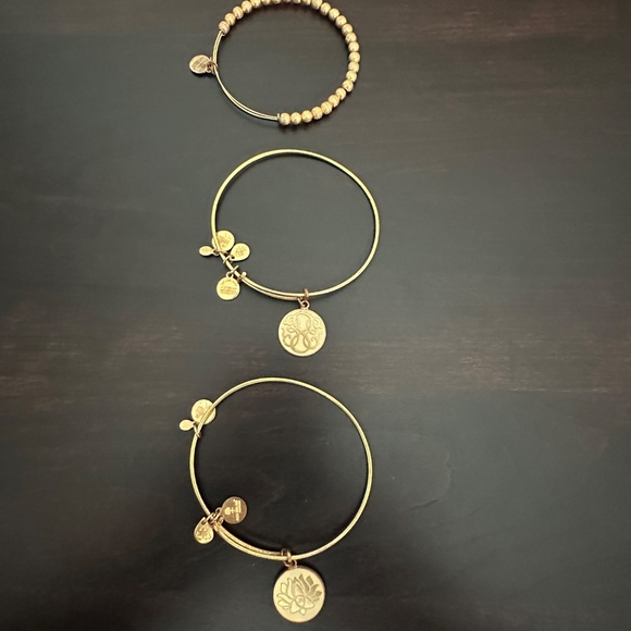 Alex and Ani Energy Lotus, Silver Path of Life, Gold Beaded Bracelet Set - Picture 3 of 9